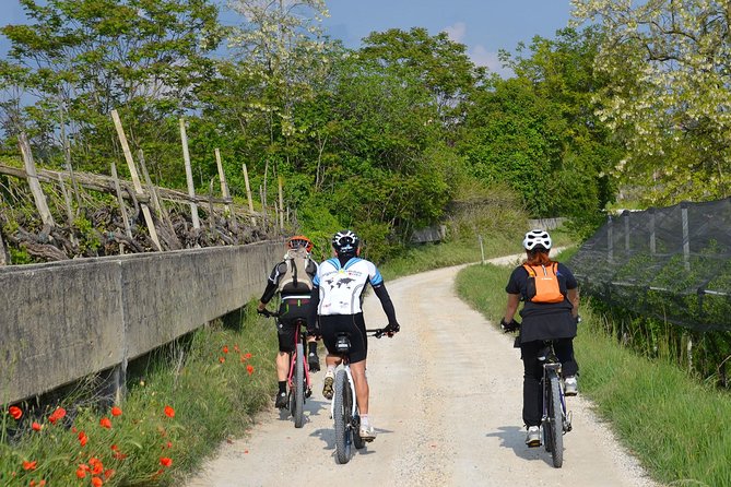 E-Bike Tour from Lake Garda to Verona - Enjoying Verona’s Historic Landmarks from the Bike
