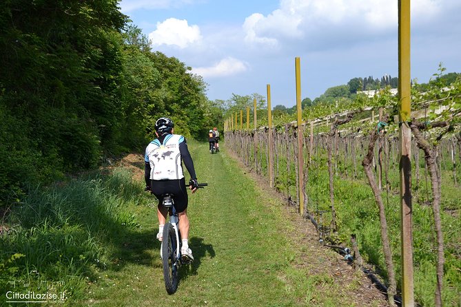 E-Bike Tour from Lake Garda to Verona - The Route along the Adige River and Through Verona’s Streets