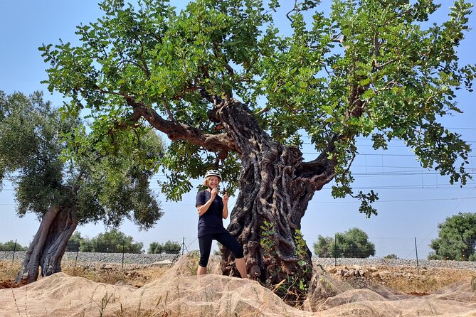 e-Bike tour from Monopoli to the rocky village of S. Andrea - Discovering the Ancient Rock Village and Farmhouse