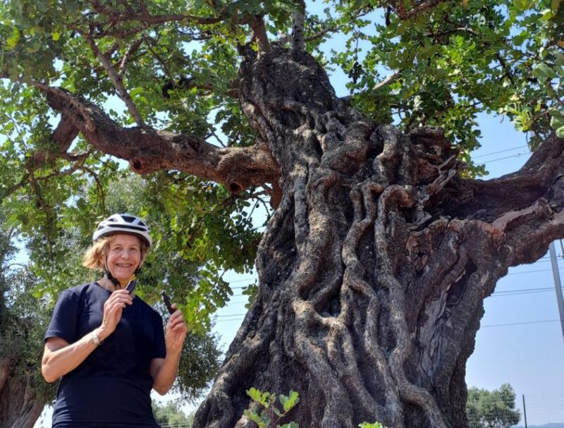 E-bike tour from Monopoli to the rocky village of St. Andrew - Coastal Views: Riding Along Monopoli’s Coveted Coves