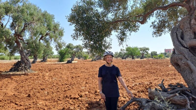 E-bike tour from Monopoli to the rocky village of St. Andrew - Practicalities: Meeting Point, Equipment, and Group Size