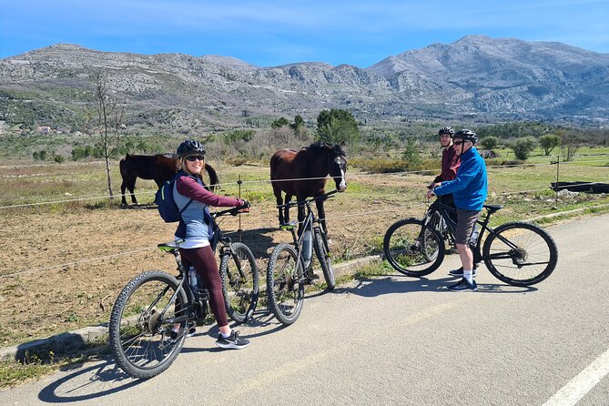 E-Bike Tour + Gourmet Lunch + Wine Tasting (Small Group) - Value for Money and Participant Feedback