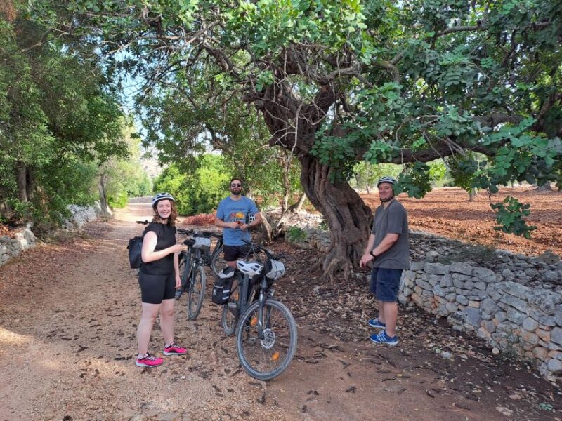 E-Bike Tour in Ostuni. Huge olive trees and a rock village - Timing, Pacing, and Suitable Participants