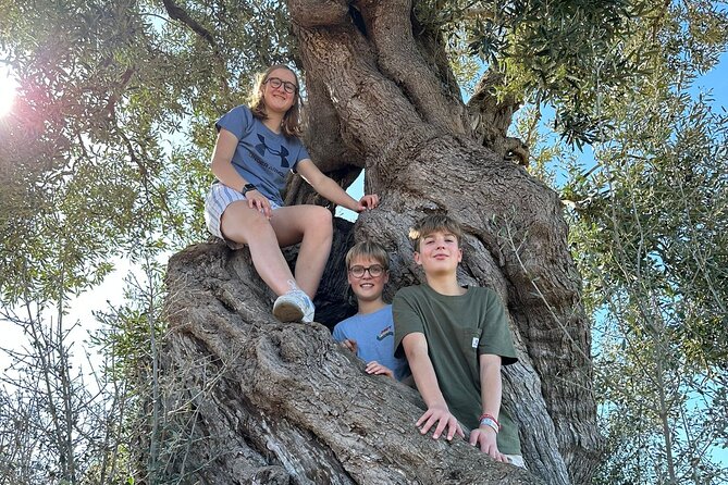 E-bike tour in Ostuni. Oil mill, Dolmen and huge olive trees - Key Points