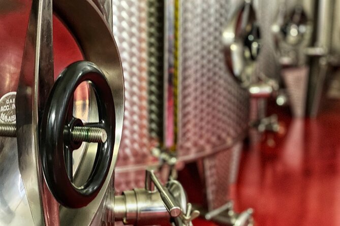 E-bike tour in Ostuni. Oil mill, Dolmen and huge olive trees - E-bike Quality and Safety Measures