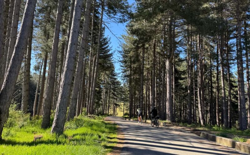 E-bike tour in Sila and tasting of typical products - Exploring Lake Cecita and Forested Trails