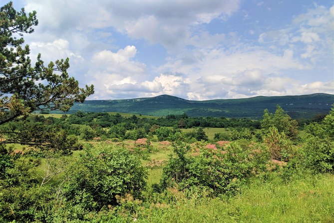 E-bike Tour: Istrian Countryside & Parenzana - Riding the Parenzana: A Historic Railroad Trail with Breathtaking Views