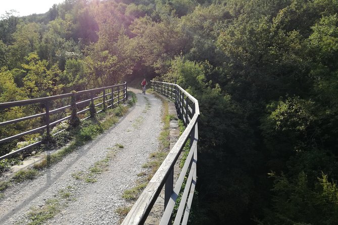 E-bike Tour: Istrian Countryside & Parenzana - Timing and Weather Considerations