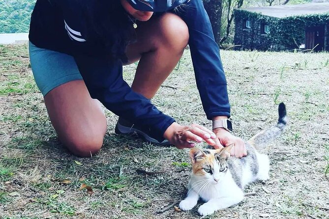 E-Bike Tour Monte Brasil | Terceira Island - Physical Requirements and Accessibility