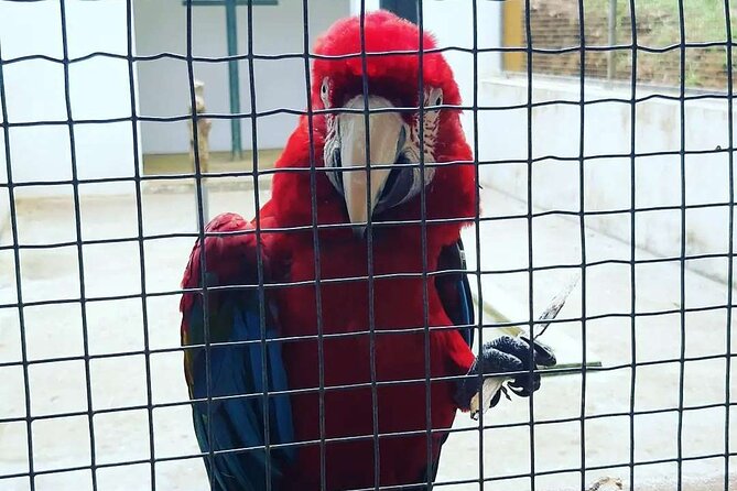 E-Bike Tour Monte Brasil | Terceira Island - Weather Considerations and Tour Cancellations