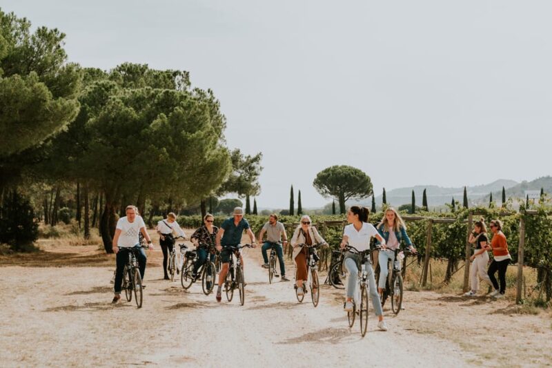 E-bike tour & Picnic in an Exclusive winery Estate - Key Points