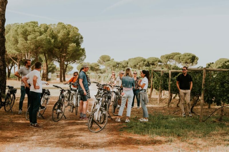 E-bike tour & Picnic in an Exclusive winery Estate - The Scenic Photo Stop at Ribera del Duero
