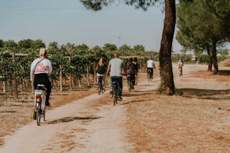 E-bike tour & Picnic in an Exclusive winery Estate - The End of the Tour & Returning to Finca Villacreces