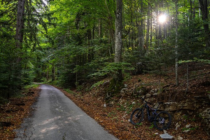 E-Bike tour Plitvice Big Waterfall Viewpoints & Tito's Villa - Discovering Titos Villa and the Canyon of Korana River