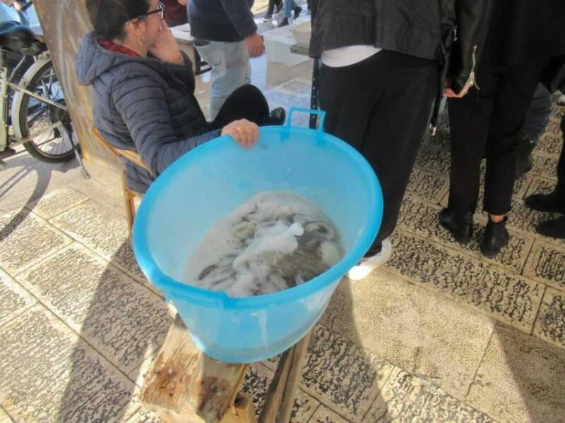 e-Bike tour to discover Bari: the seafront and the old town - Meeting Point and Practicalities