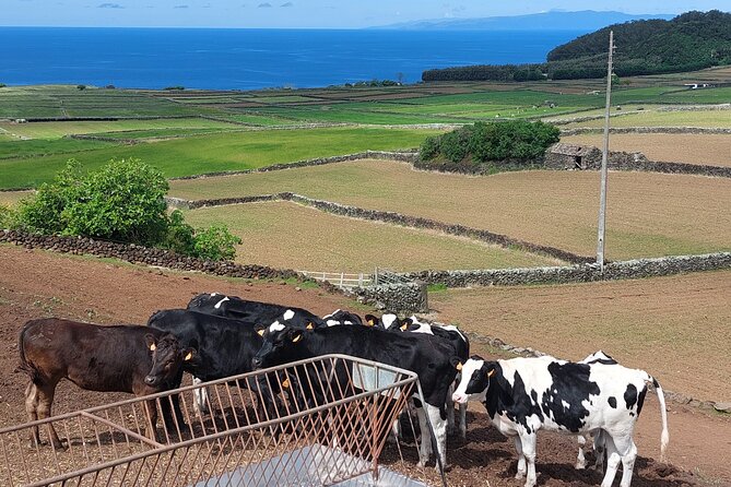 E-Bike Tour West Side | Third Island - Exploring Doze Ribeiras Parish and Its Cultural Sites