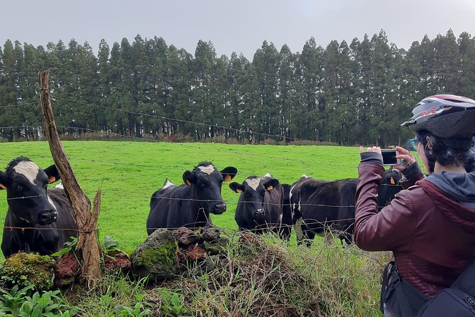 E-Bike Tour West Side | Third Island - Practical Aspects and Group Size