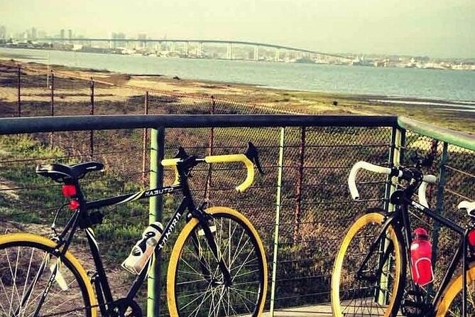 E-Bike Tours on Coronado - Easy, Starting at Coronado Tidelands Park
