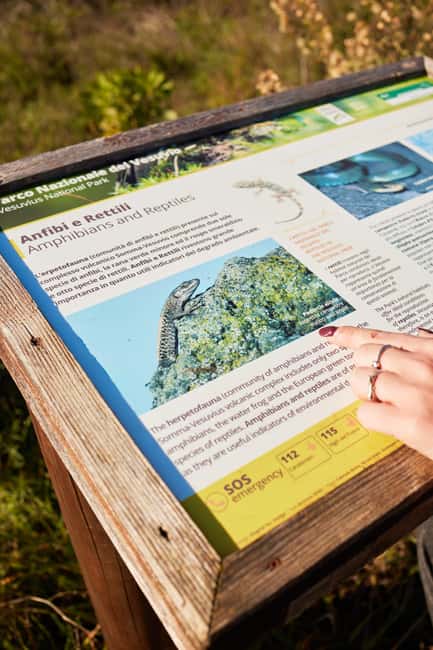E-bike Vesuvius All Inclusive: Nature, Crater & DOC Wines - Descending with Panoramic Views and the Scenic Winery