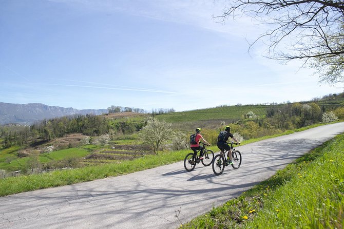 E-bike Vipava River Tour - Enjoying the Panoramic Valley Views