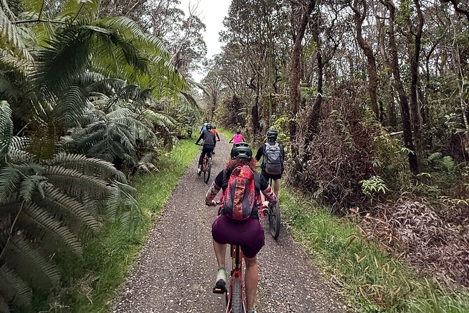 E Bike Volcanoes National Park Tour - Detailed Look at the Stops and Highlights in Hawaii Volcanoes National Park