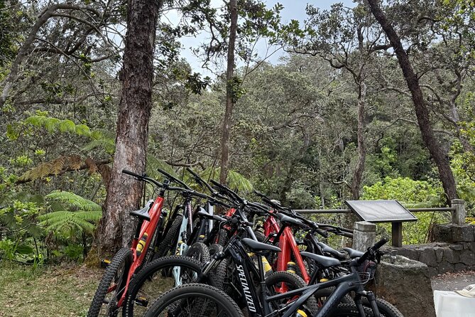 E Bike Volcanoes National Park Tour - Frequently Asked Questions