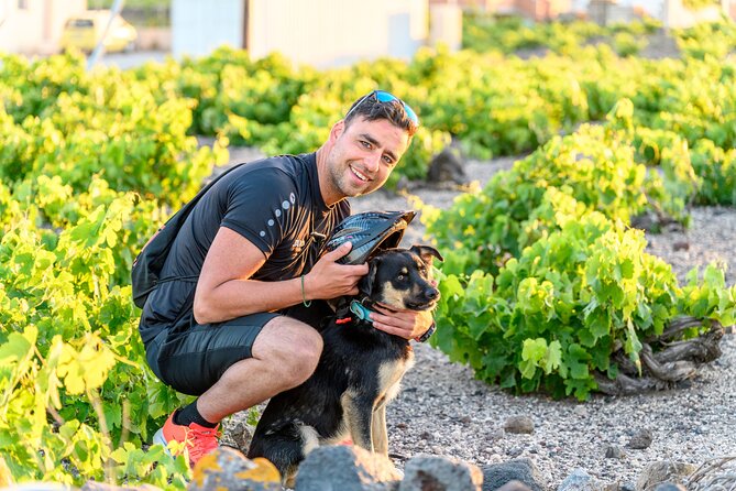 E-Bikes Rental in Santorini - Frequently Asked Questions