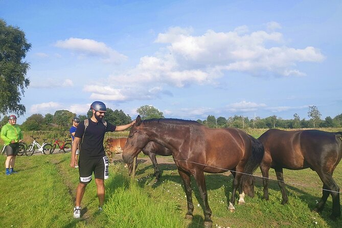 E-biking Central Forgotten Giants' s Adventure - Flexibility and Cancellation Policy