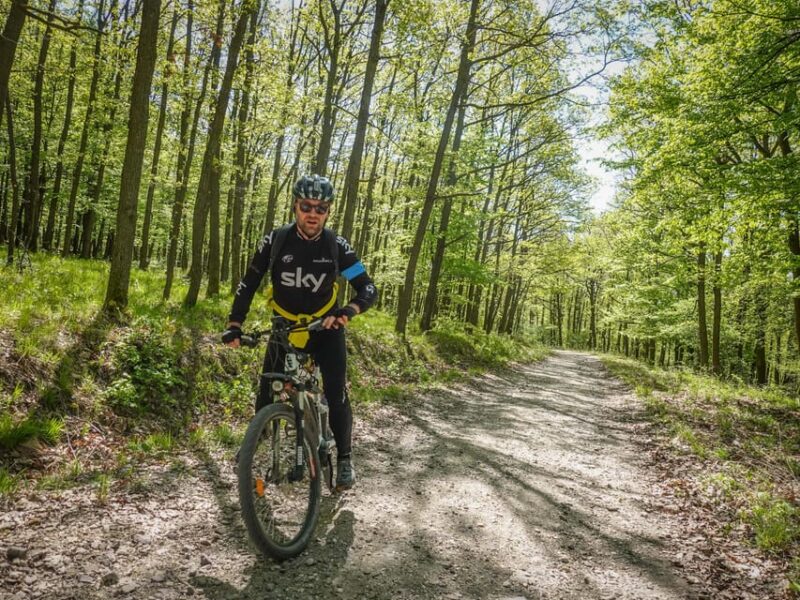 E-Mountain Bike Adventure in the Danube Bend - Rest and Animal Park Break in the Mountain Meadow