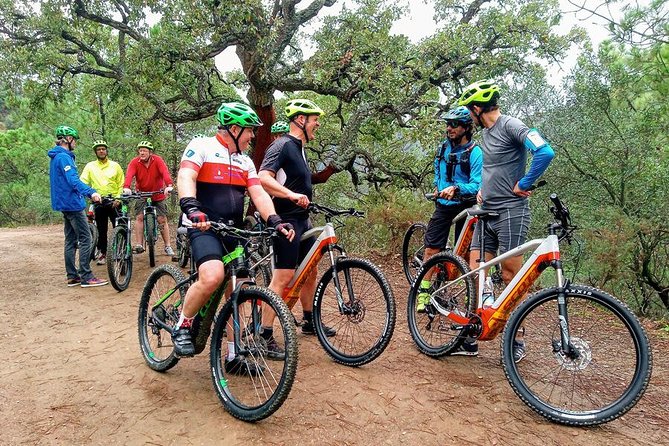E-Mountain Bike & Wine Tour from Marbella to Sierra Blanca - Logistics and Practical Details