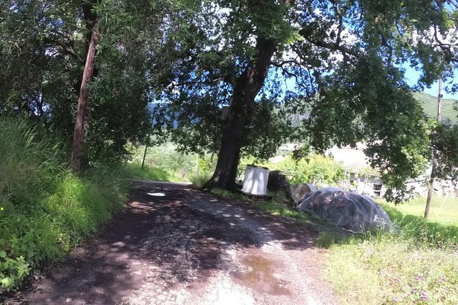 e-MTB Tour - Analipsis Area [42Km - 26Mi] - Scenic Route Through Corfu’s Countryside and Villages