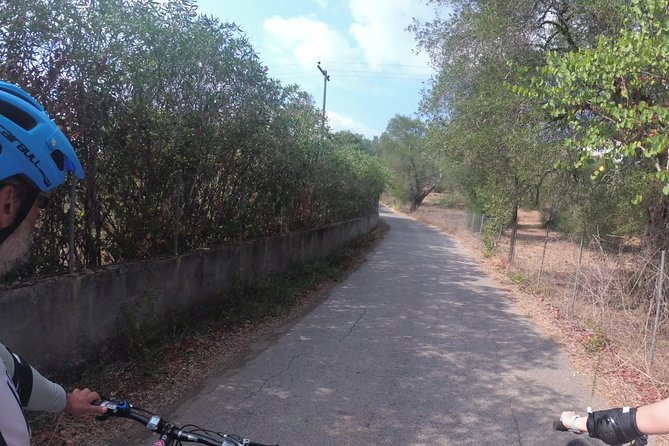 e-MTB Tour - Durrells Farm & Crab Lake [30Km - 18Mi] - Discover Corfu’s Green Heart on an e-MTB Tour