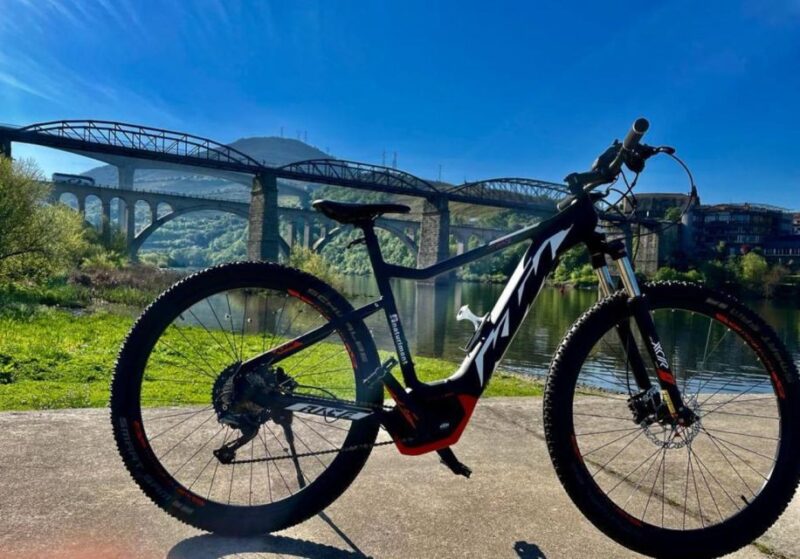 E-MTB - Vineyards Douro Tour - Scenic Views of Farms and Vineyards