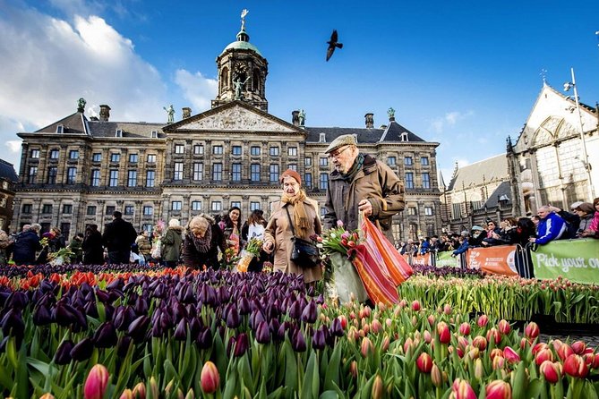 e-Scavenger hunt Amsterdam: Explore the city at your own pace - The Meeting Point and Accessibility