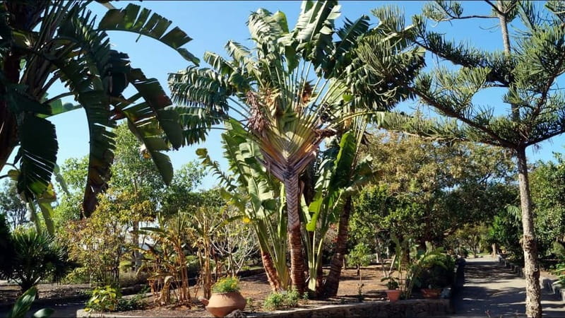 e-Scooter City Tour + Camel Ride inside Maspalomas Dunes - Visiting Iconic Monuments and Coastal Views