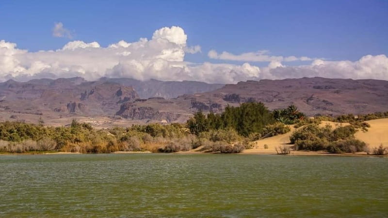 e-Scooter City Tour + Camel Ride inside Maspalomas Dunes - Logistics and Group Size