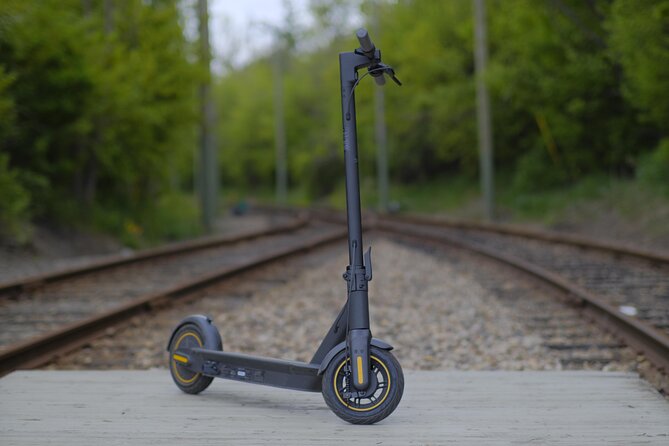 E-Scooter - E-Bike - Quadracycle - Bikes - Kick Scooter - Visiting Lucca Cathedral and San Michele in Foro