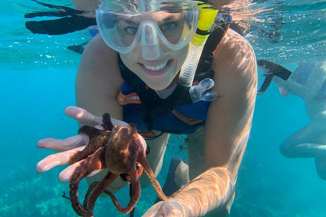 E-Scooter Snorkel With Photo and Video At Turtle Town - Maui’s Only Sea Scooter Snorkel Tour at Turtle Town
