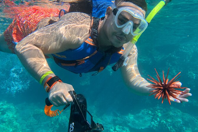 E-Scooter Snorkel With Photo and Video At Turtle Town - Who Should Book This Tour