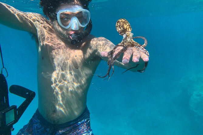 E-Scooter Snorkel With Photo and Video At Turtle Town - The Sum Up: A Unique & Personalized Snorkeling Adventure at Turtle Town