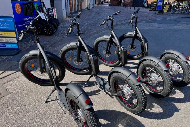 E-Scooter "Stand Up Kick Bike" 2 Hour Guided Copenhagen Tour - Navigating Copenhagens Top Landmarks on Electric Kick Bikes