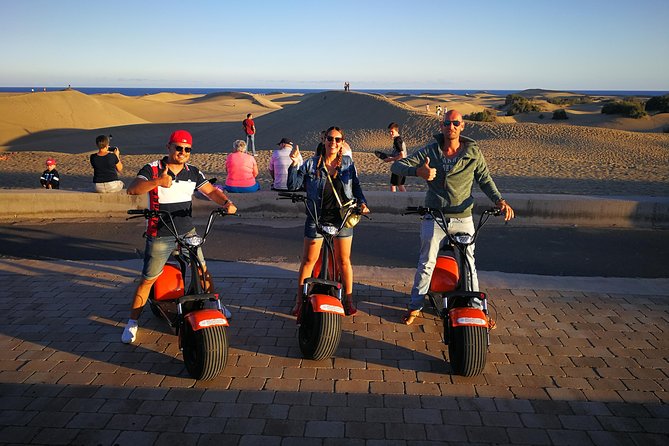 E-Scooter Tour with Camel ride : Maspalomas Dunes and main points - Birdwatching at La Charca Lagoon