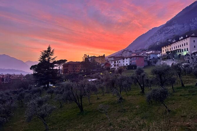 E.V.O. oil of Lake Como tasting+ food pairings - Tasting and Food Pairings with Local Ingredients