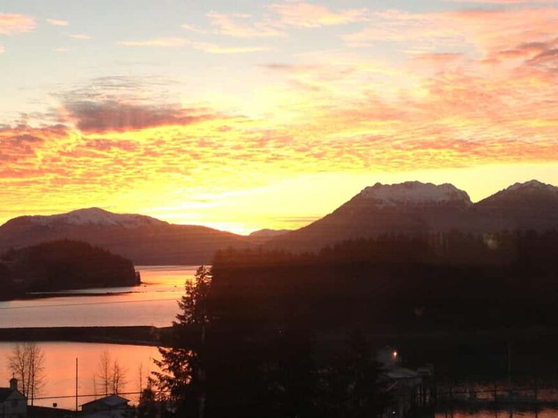 Ear Mountain Charters tours: whale watching or fishing - Key Points