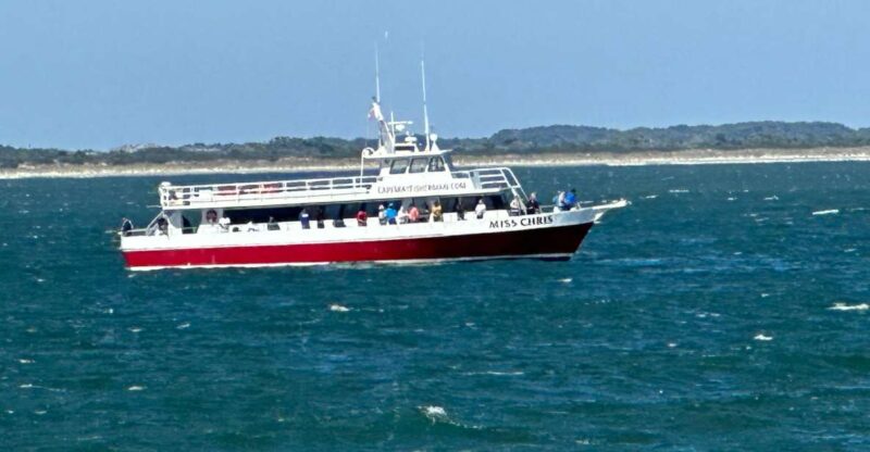 Early Bird Fishing - Meeting Point and Parking Instructions at Delaware