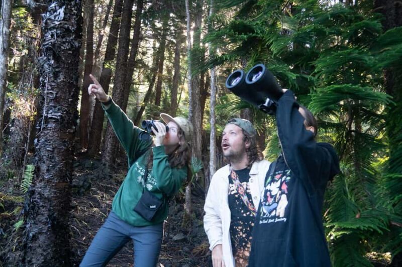 Early Bird Guided Birding Tour - Kailua-Kona, HI - What Birds Are Likely to Be Seen During the Tour