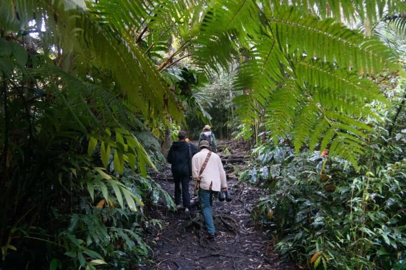 Early Bird Guided Birding Tour - Kailua-Kona, HI - The Value of Booking Flexibility