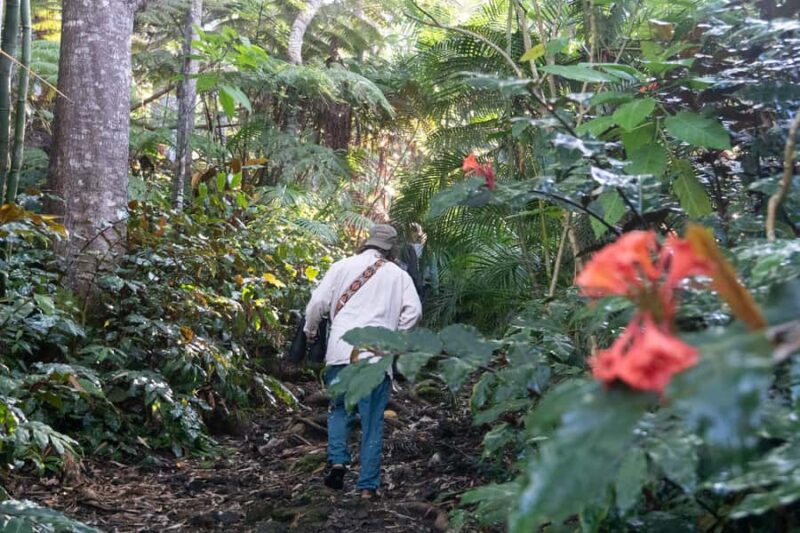 Early Bird Guided Birding Tour - Kailua-Kona, HI - Who Will Most Enjoy This Tour