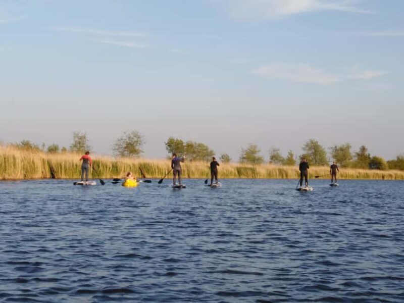 Early Bird Standup Paddletour to Fishing Harbours - Key Points