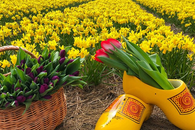 Early Flower fields with Lunch & Windmill Guided Day Tour - The Allure of the Dutch Countryside and Flower Fields